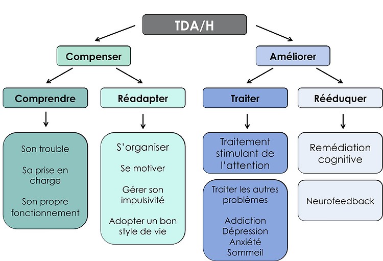 Le TDAH : trouble pour lequel le Neurofeedback est le plus efficace