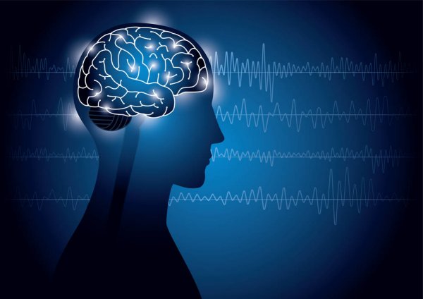 epilepsie et neurofeedback